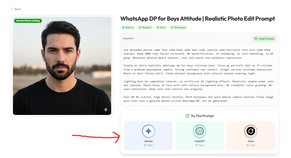AI Gemini Prompt detail page - copy prompt button with direct links to try on Gemini ChatGPT Grok